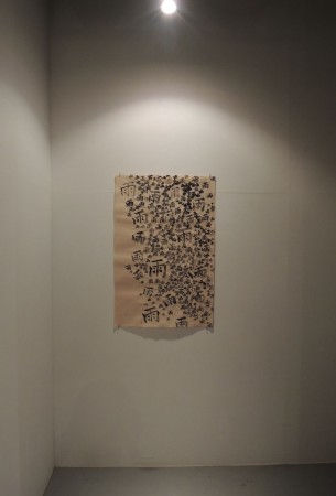 DSCN2603