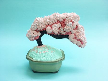 sweetbonsai